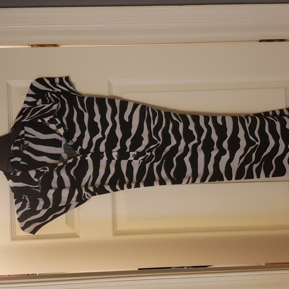 Zebra print shirt dress